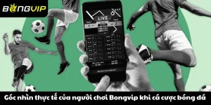 Bongvip