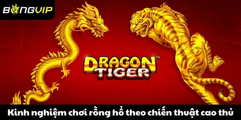 Kinh nghiệm chơi rồng hổ theo chiến thuật cao thủ