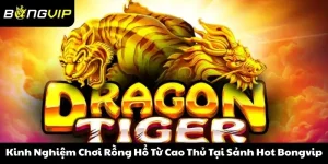 Kinh Nghiệm Chơi Rồng Hổ