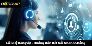 Liên hệ Bongvip