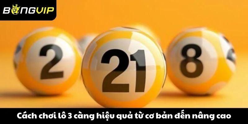 Cách chơi lô 3 càng hiệu quả từ cơ bản đến nâng cao