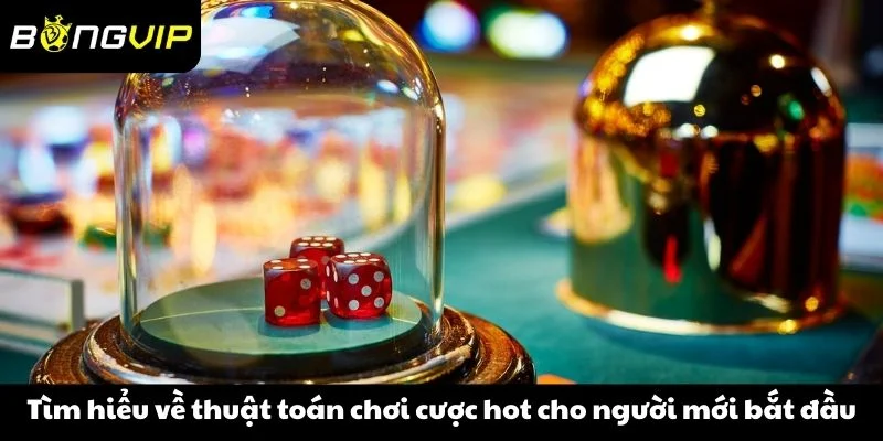 Tìm hiểu về thuật toán chơi cược hot cho người mới bắt đầu