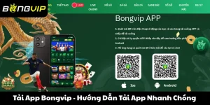 Tải app Bongvip