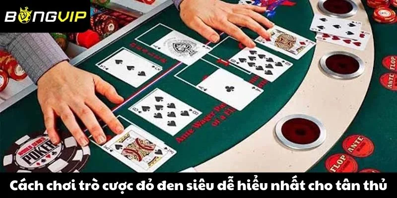 Cách chơi trò cược đỏ đen siêu dễ hiểu nhất cho tân thủ