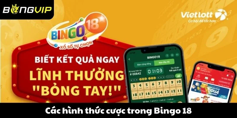 Các hình thức cược trong Bingo 18
